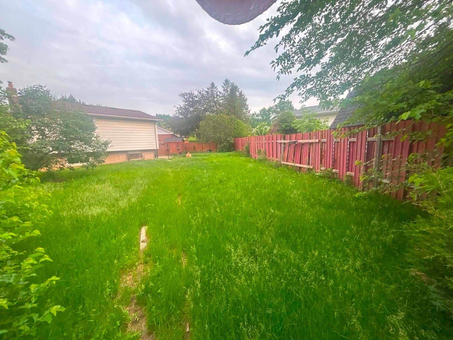 An overgrown, untidy backyard before Lakeside started work